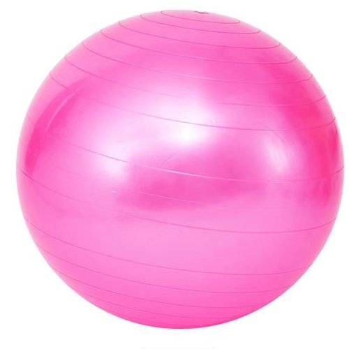 Premium Gym Exercise Stability Fitness Yoga Ball 75CM